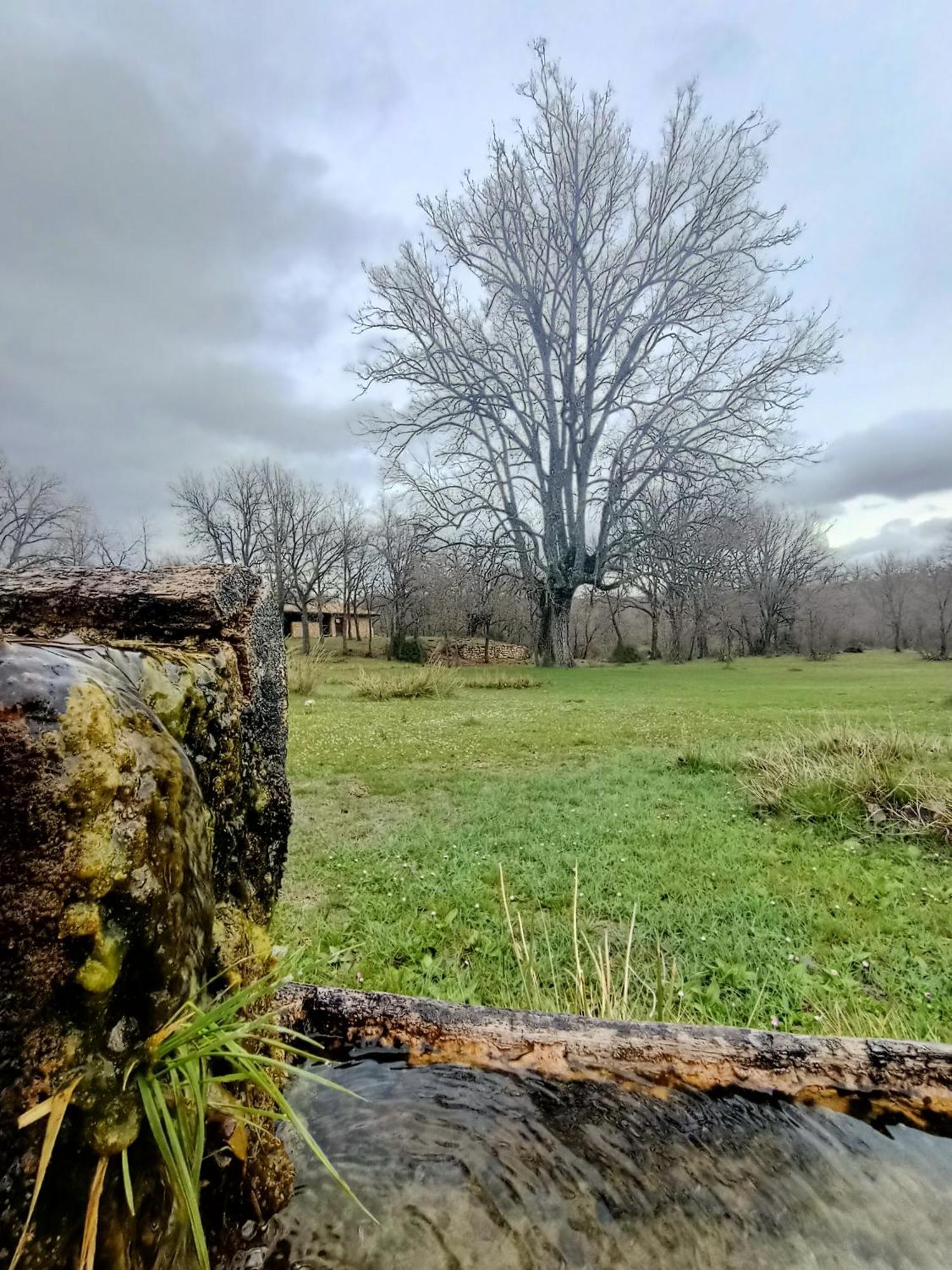 Alojamiento Rural El Cerro Fresneda de la Sierra Dış mekan fotoğraf