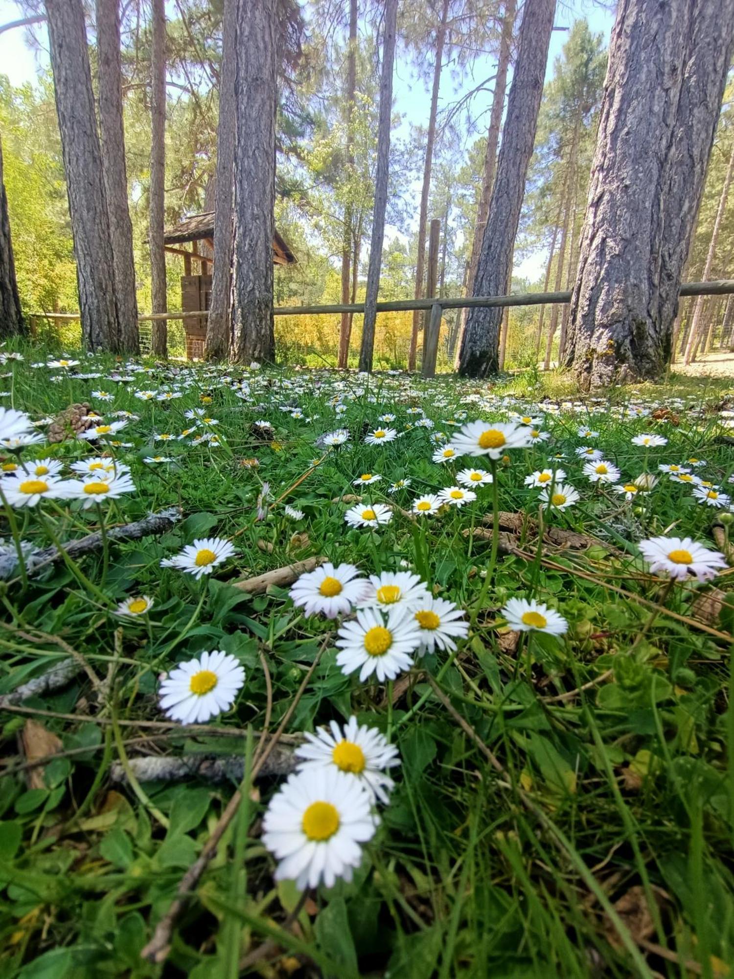 Alojamiento Rural El Cerro Fresneda de la Sierra Dış mekan fotoğraf