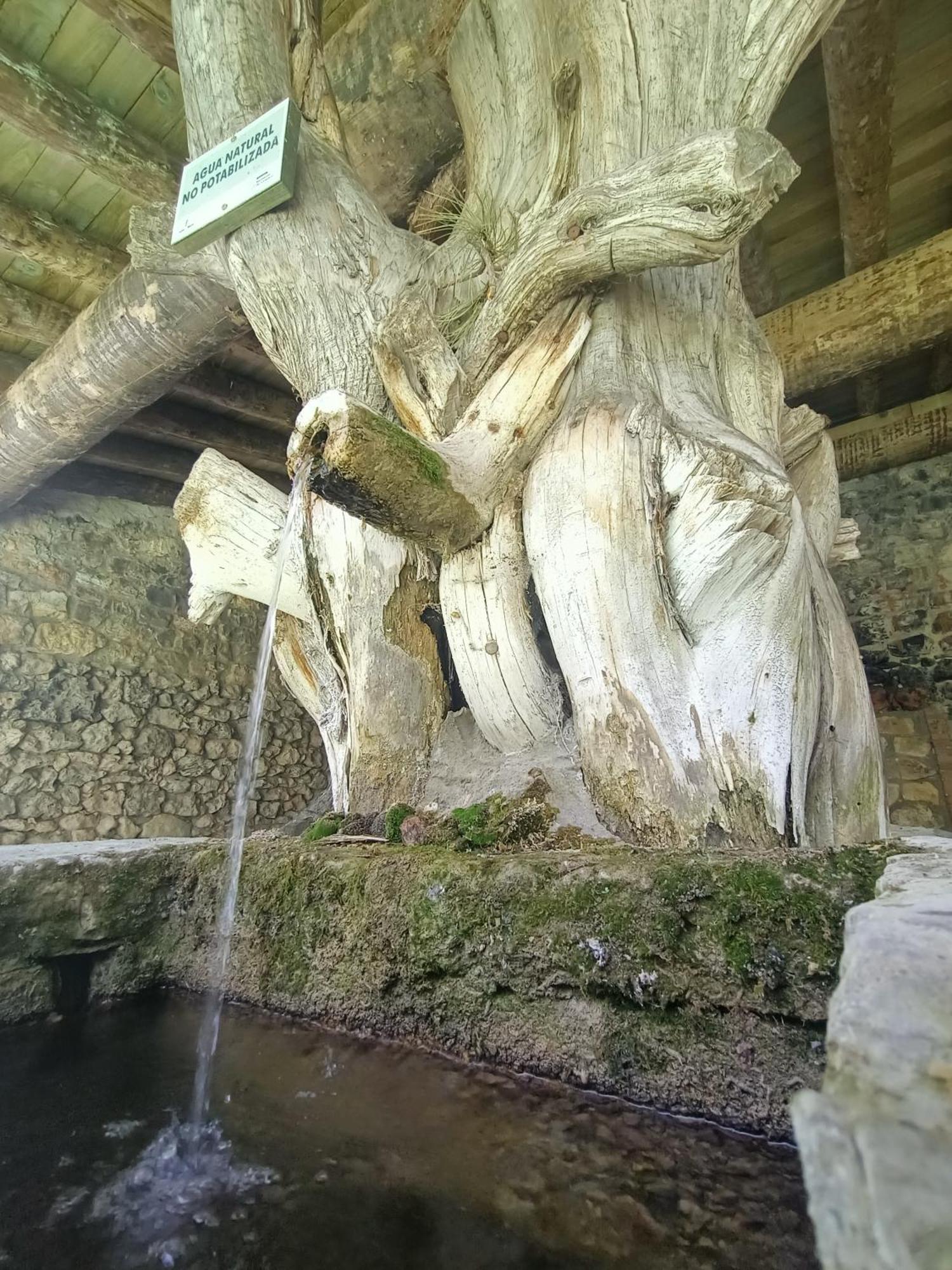 Alojamiento Rural El Cerro Fresneda de la Sierra Dış mekan fotoğraf