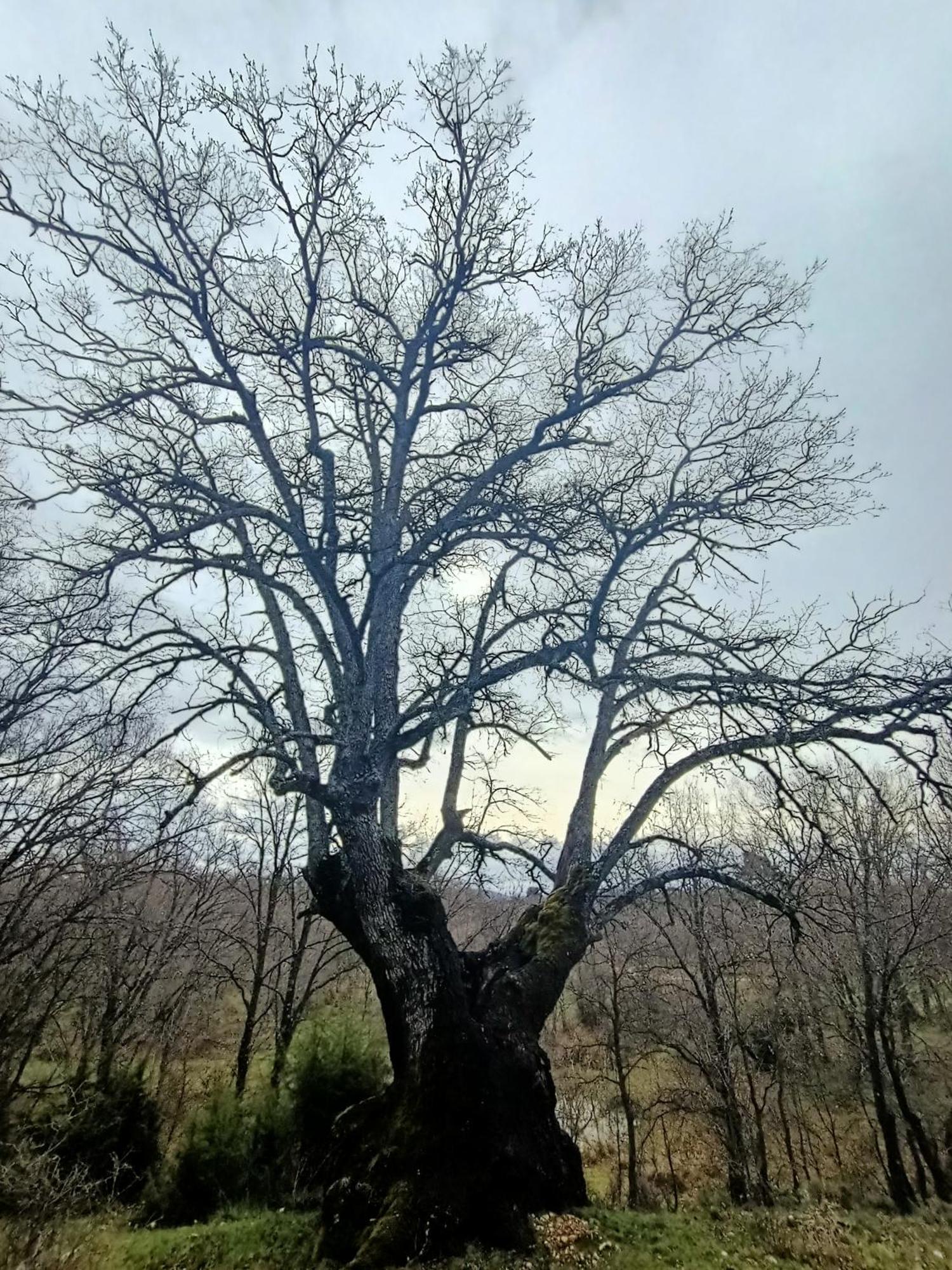 Alojamiento Rural El Cerro Fresneda de la Sierra Dış mekan fotoğraf